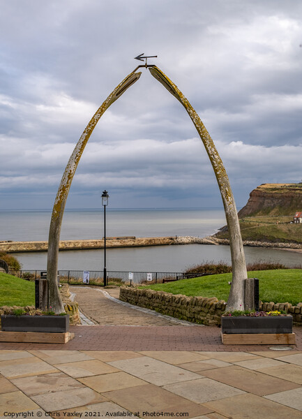 Whalebone Arch in Whitby, North Yorkshire Picture Board by Chris Yaxley
