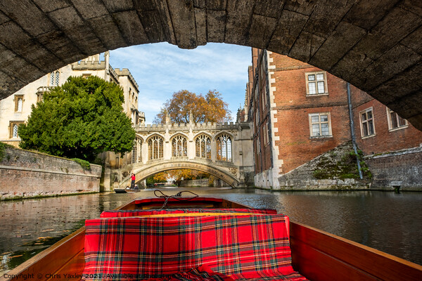 A trip along the River Cam on a punt Picture Board by Chris Yaxley
