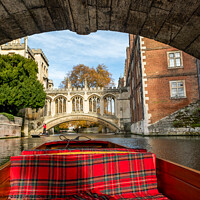 Buy canvas prints of A trip along the River Cam on a punt by Chris Yaxley