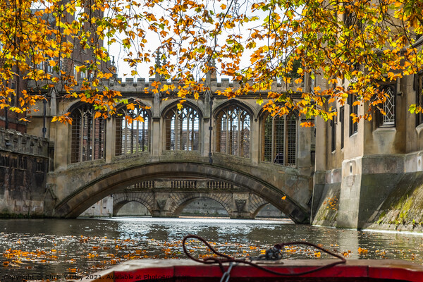 Bridge of Sighs captured from the River Cam Picture Board by Chris Yaxley