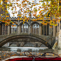 Buy canvas prints of Bridge of Sighs captured from the River Cam by Chris Yaxley