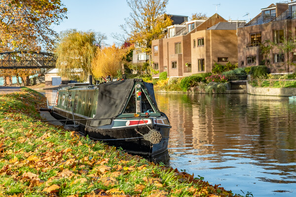 River Cam houseboat in Jesus Green, Cambridge Picture Board by Chris Yaxley