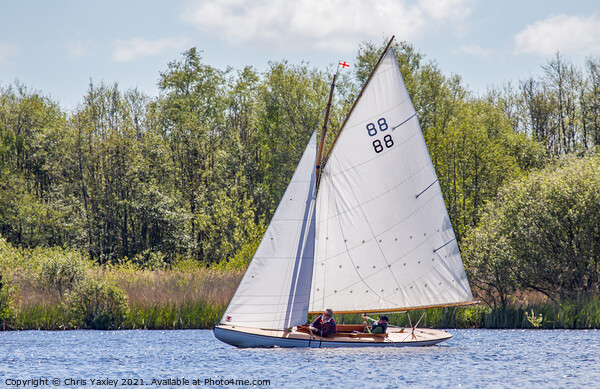 Traditional wooden sailboat on Wroxham Broad, Norfolk Picture Board by Chris Yaxley