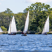 Buy canvas prints of Sailing boats racing on Wroxham Broad, Norfolk by Chris Yaxley