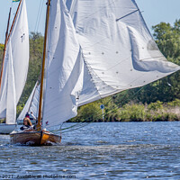 Buy canvas prints of Head on view of traditional sailing boat on Wroxham Broad, Norfolk by Chris Yaxley