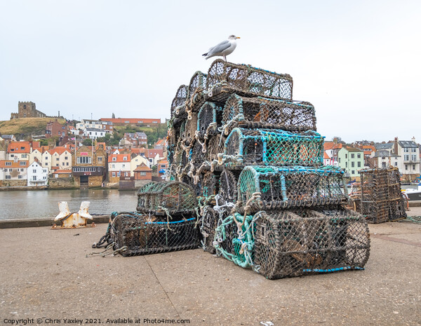 Fishing pots in Whitby Harbour Picture Board by Chris Yaxley