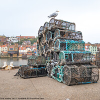 Buy canvas prints of Fishing pots in Whitby Harbour by Chris Yaxley