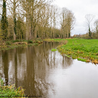 Buy canvas prints of River Bure in Buxton, Norfolk by Chris Yaxley