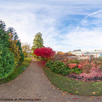 Buy canvas prints of 360 Panorama in Cambridge Botanical Garden by Chris Yaxley