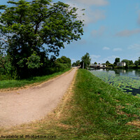 Buy canvas prints of 360 panorama captured along the Gloucester and Sharpness canal by Chris Yaxley