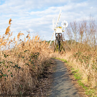 Buy canvas prints of Norfolk drainage mill by Chris Yaxley