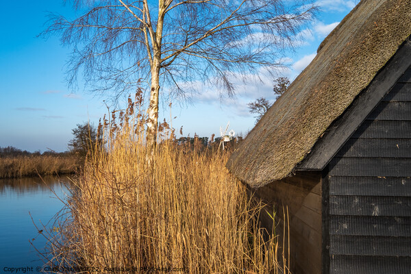 Norfolk Broads boat shed Picture Board by Chris Yaxley