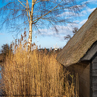 Buy canvas prints of Norfolk Broads boat shed by Chris Yaxley