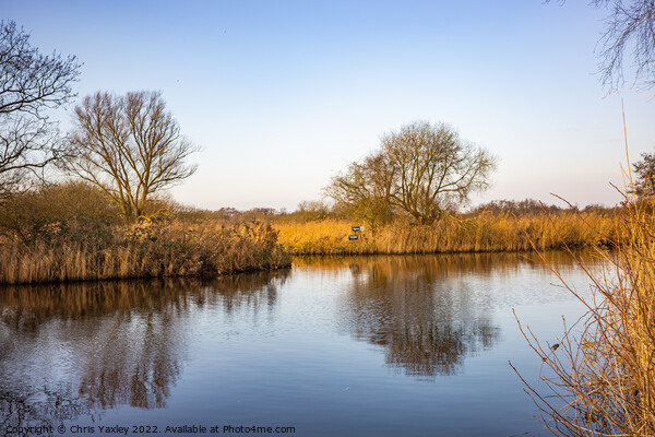 River Ant, Norfolk Broads Picture Board by Chris Yaxley