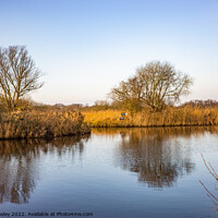 Buy canvas prints of River Ant, Norfolk Broads by Chris Yaxley