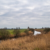 Buy canvas prints of The path to St Benet's Abbey, Norfolk by Chris Yaxley