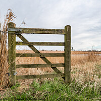 Buy canvas prints of Rural gate, Norfolk by Chris Yaxley