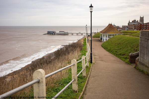 The seaside town of Cromer, North Norfolk Picture Board by Chris Yaxley