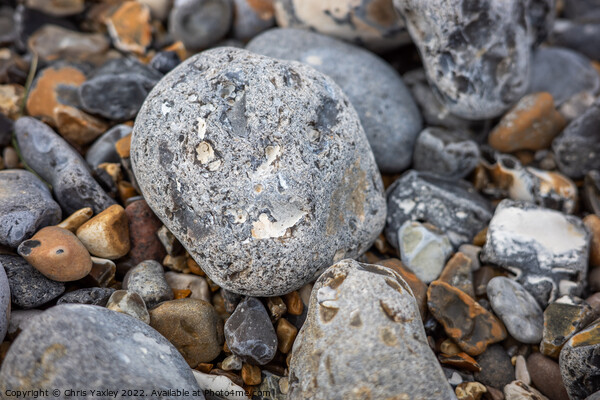Seaside stones Picture Board by Chris Yaxley