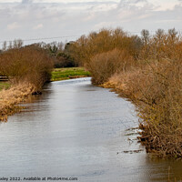 Buy canvas prints of River Bure, Norfolk Broads by Chris Yaxley