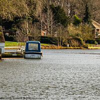 Buy canvas prints of River Bure, Coltishall by Chris Yaxley