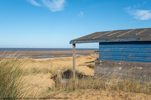 Hunstanton beach hut Picture Board by Chris Yaxley