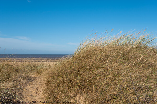 Hunstanton beach on the North Norfolk coast Picture Board by Chris Yaxley