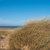 Buy canvas prints of Hunstanton beach on the North Norfolk coast by Chris Yaxley