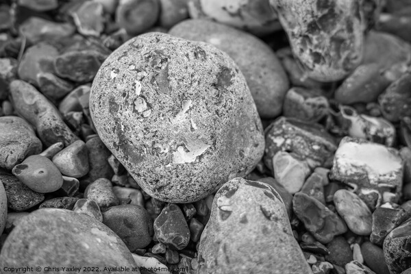 Rock on pebble beach Picture Board by Chris Yaxley