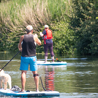 Buy canvas prints of Paddle boarding with pooch by Chris Yaxley