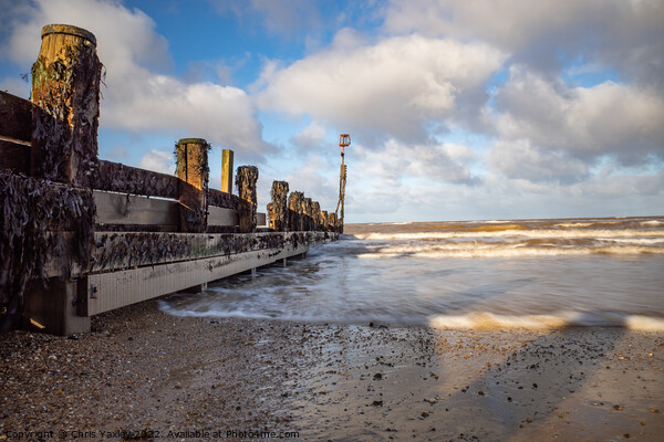 Long exposure of wooden breakers on Cromer beach Picture Board by Chris Yaxley