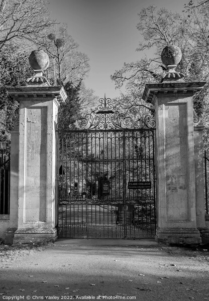 Entrance to Clare College, Cambridge Picture Board by Chris Yaxley