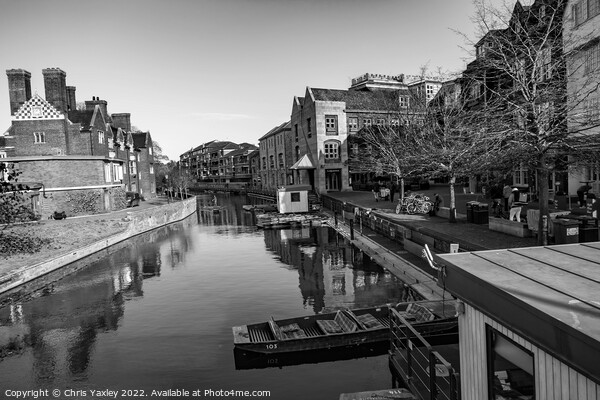 View down the River Cam in the city of Cambridge Picture Board by Chris Yaxley
