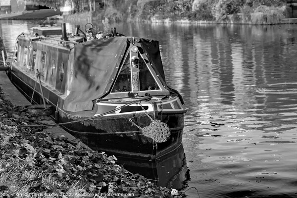 Traditional narrow boat moored on the River Cam in Jesus Green, Cambridge Picture Board by Chris Yaxley
