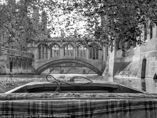 Bridge of Sighs over the River Cam in Cambridge Picture Board by Chris Yaxley
