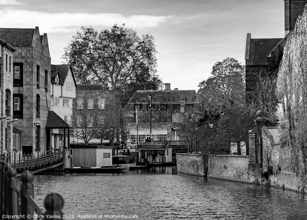River Cam in the city of Cambridge Picture Board by Chris Yaxley