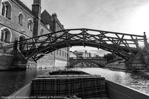 Mathematical Bridge over the River Cam in the city of Cambridge Picture Board by Chris Yaxley