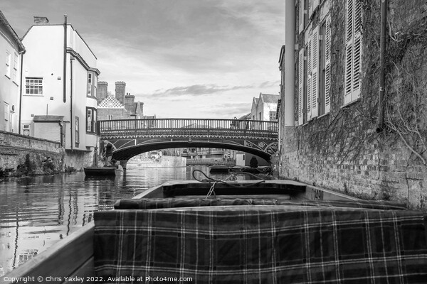 Punting along the River Cam in Cambridge Picture Board by Chris Yaxley