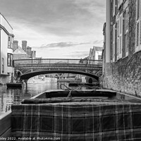 Buy canvas prints of Punting along the River Cam in Cambridge by Chris Yaxley