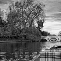 Buy canvas prints of Punting down Cambridge Backs by Chris Yaxley