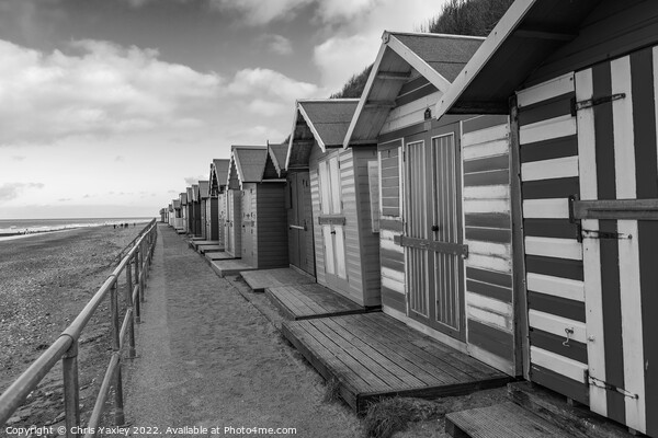 Cromer Beach Huts on the Norfolk Coast Picture Board by Chris Yaxley