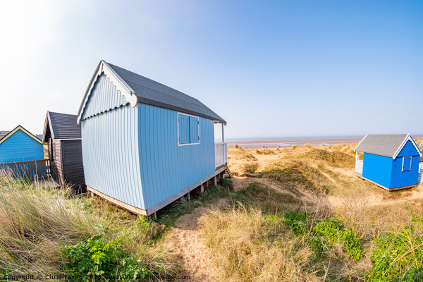 Coastal beach huts on the North Norfolk coast Picture Board by Chris Yaxley