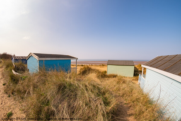 Coastal beach huts in Hunstanton, Norfolk coast Picture Board by Chris Yaxley