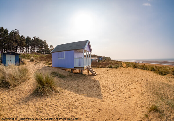 Wooden beach hut Picture Board by Chris Yaxley
