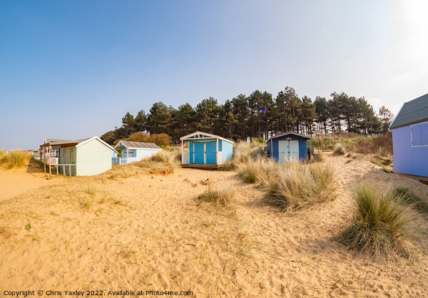 Ultra wide shot of Hunstanton beach huts Picture Board by Chris Yaxley