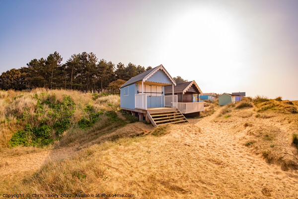 Traditional wooden beach huts, Hunstanton  Picture Board by Chris Yaxley