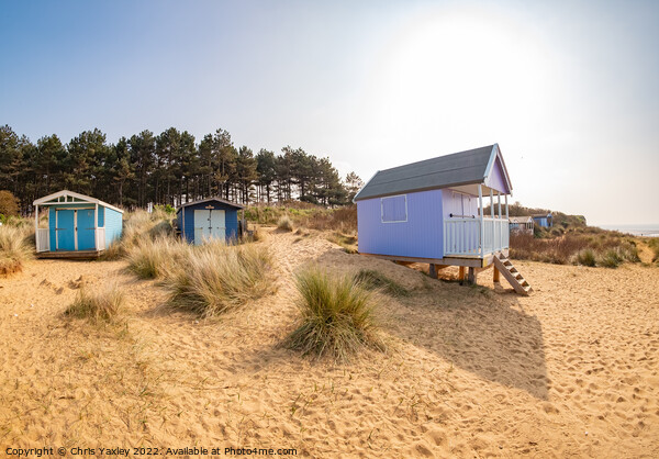 Hunstanton beach huts Picture Board by Chris Yaxley
