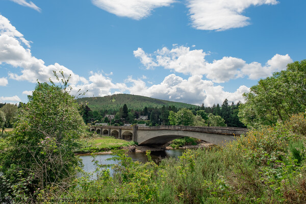 Bridge over the River Dee Picture Board by Chris Yaxley