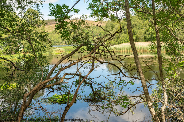 Aboyne Loch, Aberdeenshire Picture Board by Chris Yaxley