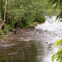 Buy canvas prints of The River Braan in Dunkeld, Perthshire by Chris Yaxley